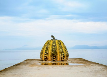 pexels-rojan-gurung-42711330-31651448