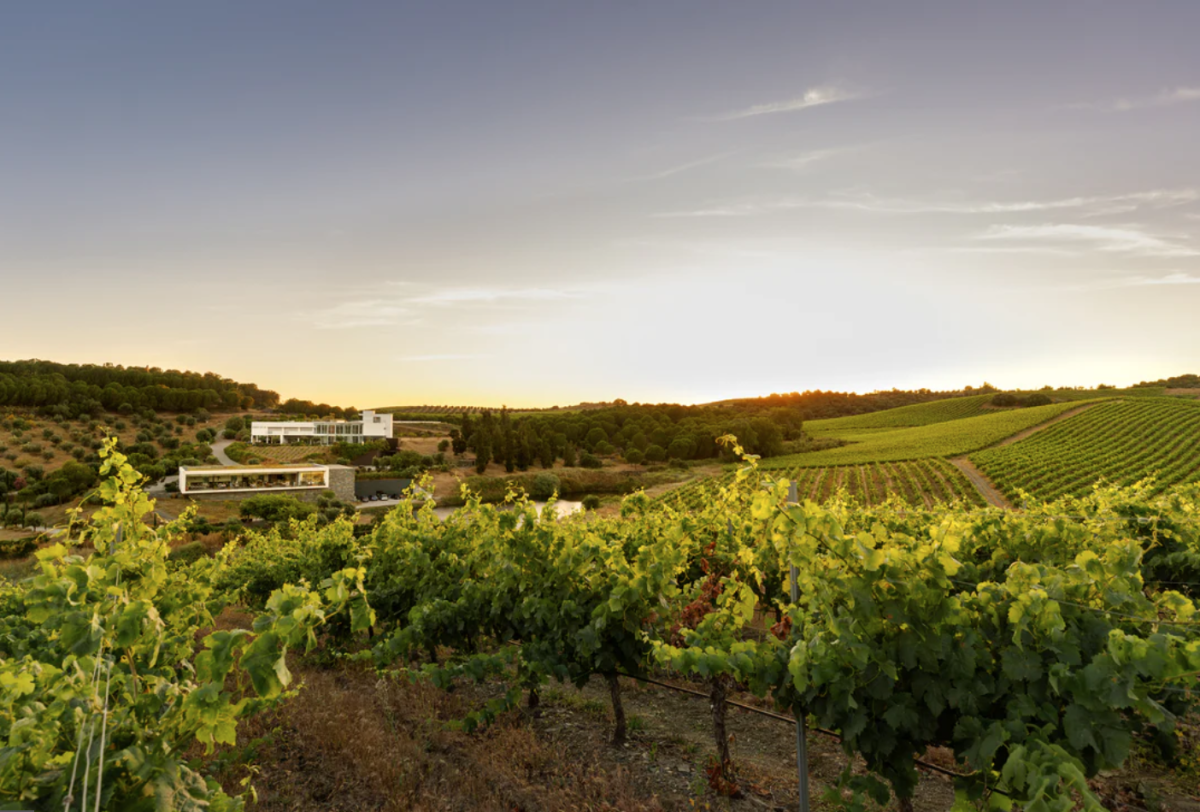 schermafbeelding-2025-10-30-om-12.54.54